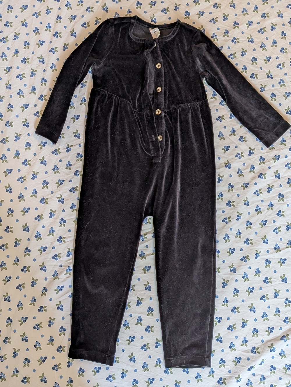 Kate Quinn velveteen Suit